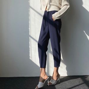 Aritzia Dexter Pant